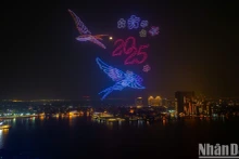 [Foto] Concierto de Luz da bienvenida al Año Nuevo Lunar 2025