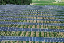 Baterías solares instaladas en una plantación en Alemania. (Fotografía: REUTERS)
