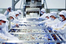 El Oriente Medio es un mercado potencial para los productos acuícolas vietnamitas. (Fotografía: moit.gov.vn)