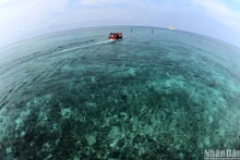 [Foto] Envían sentimientos desde tierra firme a compatriotas en alta mar