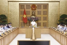 El vice primer ministro Le Thanh Long habla en la reunión. (Fotografía: VNA)