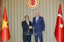 El primer ministro de Vietnam, Pham Minh Chinh, se reúne con el presidente de la Gran Asamblea Nacional de Turquía, Numan Kurtulmus. (Fotografía: VNA)