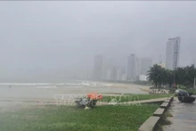 Fuertes lluvias y viento en la costa de My Khe (distrito de Son Tra, Da Nang). (Fotografía: VNA)