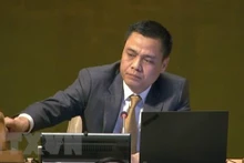 El embajador Dang Hoang Giang, jefe de la misión permanente de Vietnam ante la ONU. (Fotografía: VNA)