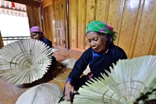 Pueblo étnico Tay mantiene oficio de elaboración de sombrero cónico