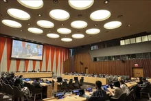 En la reunión del Grupo Asia-Pacífico en la ONU. (Fotografía: VNA)