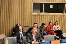 El viceministro de Planificación e Inversión de Vietnam Tran Duy Dong y los delegados. (Fotografía: VNA)
