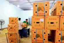Cajas de durián vietnamitas para enviar a China. (Fotografía: VNA)