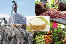 Exportaciones agroforestales y acuáticas superan la meta del año
