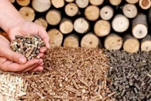 Exportaciones vietnamitas de productos de desecho forestal podrían recaudar fondo multimillonario. (Fotografía: baodautu.vn)