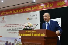 Nguyen Manh Dong, vicepresidente del Comité Estatal para los Vietnamitas en el extranjero, en el foro. (Fotografía: VNA)