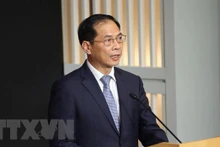 El ministro de Relaciones Exteriores de Vietnam, Bui Thanh Son. (Fotografía: VNA)