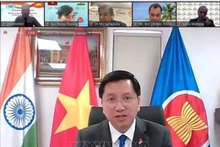 El embajador de Vietnam en la India, Nguyen Thanh Hai. (Fotografía: VNA)