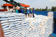 El arroz es el producto que ocupa la mayor proporción en la estructura de las exportaciones de Vietnam a Cuba. (Fotografía: VNA)