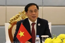 El ministro de Relaciones Exteriores de Vietnam, Bui Thanh Son. (Fotografía: VNA)