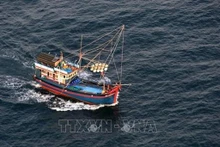 Página web tailandesa alaba combate de Vietnam contra la pesca ilegal. (Fotografía: VNA)