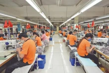 Las empresas aprovechan las oportunidades del mercado para impulsar las exportaciones. (Fotografía: VNA)
