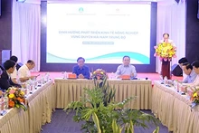 Panorama de la conferencia. (Fotografía: baokhanhhoa.vn)