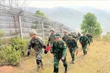 Guardias fronterizos estacionados en la provincia vietnamita de Dien Bien y en la región de Mengzhi, de la provincia china de Yunnan, realizan la patrulla. (Fotografía: VNA)