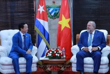 El primer ministro de Cuba, Manuel Marrero Cruz (derecha), intercambia con el vicepremier de Vietnam Tran Hong Ha. (Fotografía: VNA)