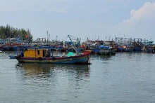 Vietnam refuerza el control de pesqueros para prevenir la pesca ilegal. (Fotografía: VNA)