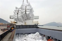 Vietnam, el mayor exportador de arroz a Singapur. (Fotografía: VNA)