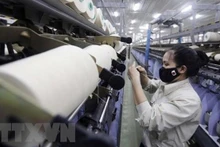 Producción de hilo en la empresa de texitles de Ha Nam. (Fotografía: VNA)