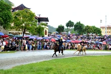 En la carrera de caballos. (Fotografía: Nhan Dan)