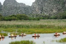 La reserva natural del humedal de Van Long. (Fotografía: VNA)