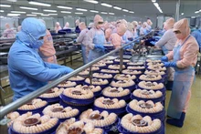 Procesamiento de camarones para exportación en la compañía de productos acúaticos Minh Phu. (Fotografía: VNA)