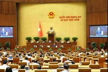 Panorama de la sesión. (Fotografía: VNA)