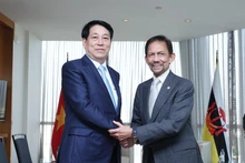 [Foto] Presidente de Vietnam se reúne con sultán de Brunéi