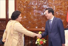 El presidente de Vietnam, Vo Van Thuong, recibe a la embajadora de Pakistán, Samina Mehtab. (Fotografía: VNA)