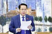 El subjefe de la Comisión de Aspiración del Pueblo de la Asamblea Nacional de Vietnam, Hoang Anh Cong. (Fotografía: VNA)