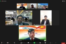 Delegados en el webinario. (Fotografía: VNA)