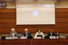 La embajadora Le Thi Tuyet Mai, jefa de la delegación vietnamita ante la ONU, la OMS y otras instituciones internacionales en Ginebra, interviene en la cita. (Fotografía: VNA)
