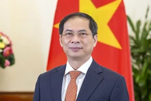 El ministro de Relaciones Exteriores de Vietnam, Bui Thanh Son. (Fotografía: Cancillería de Vietnam)