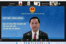 El embajador de Vietnam en la India, Nguyen Thanh Hai, en el encuentro virtual. (Fotografía: VNA)