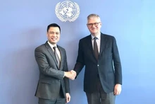 El embajador Dang Hoang Giang (izquierda) y el secretario general adjunto de la ONU Jean-Pierre Lacroix. (Fotografía: VNA)