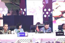 El viceministro de Finanzas de Vietnam Vo Thanh Hung (izquierda), y el vicegobernador del Banco Estatal de Vietnam Pham Thanh Ha participan en la reunión. (Fotografía: VNA)