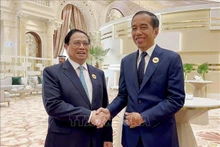 El primer ministro de Vietnam, Pham Minh Chinh (izquierda), y el presidente indonesio, Joko Widodo. (Fotografía: VNA)