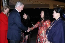 Delegados de Vietnam dan la bienvenida al rey Felipe y a la reina Matilde de Bélgica en el Aeropuerto Internacional de Noi Bai. (Fotografía: VNA)