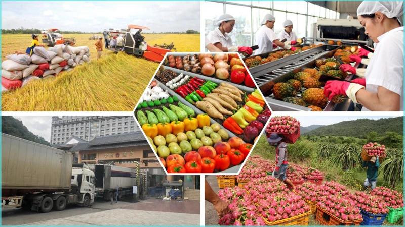 Para lograr el objetivo del crecimiento agrícola – Vietnam.vn