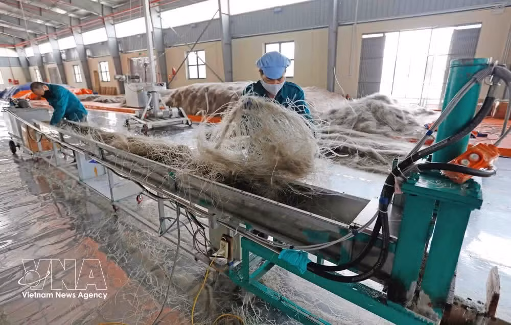La cooperativa de fideo celofán Viet Cuong, ubicada en la provincia de Thai Nguyen, se especializa en la producción de diversos productos para consumo nacional y exportación. (Foto: VNA)