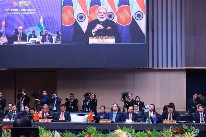 El primero ministro de la India, Narendra Modi, habla en la cita. (Foto: VNA)