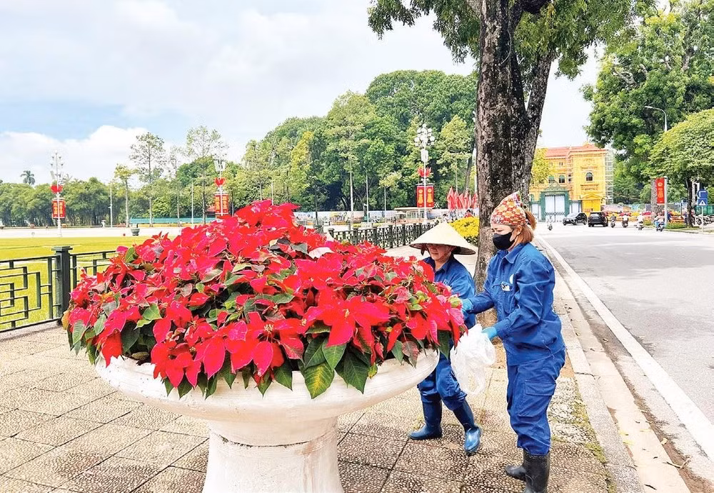 Los equipos de embellecimiento urbano garantizan que el paisaje local se mantenga pulcro durante el feriado nacional.