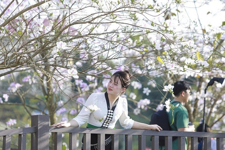 Los turistas se hacen fotos junto a las flores ban en el parque Vo Thi Sau.