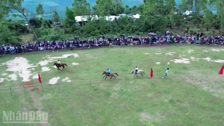 Los jinetes campesinos y los caballos de carga en la pista.