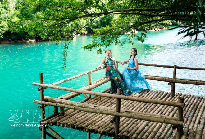 La provincia de Quang Tri promueve el turismo bajo cubierta forestal, integrándolo con la conservación de los bosques y el desarrollo sostenible. (Foto: VNA)