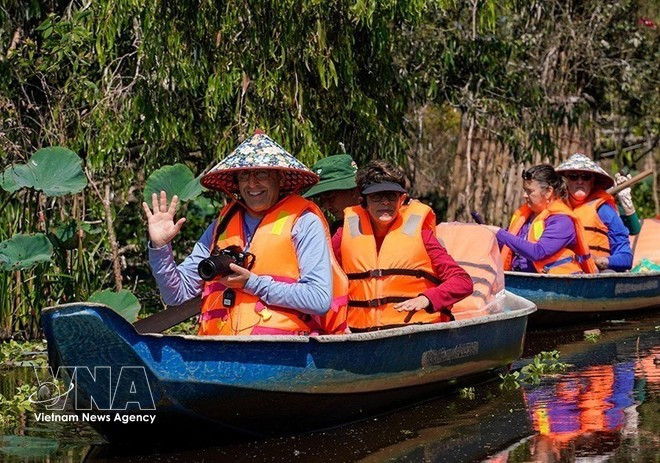 El bosque de melaleucas de Tra Su atrae a turistas nacionales e internacionales por su belleza y biodiversidad. (Foto: VNA)